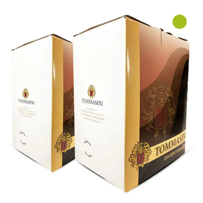 2 Bag in Box di Pinot Bianco da 5 lt