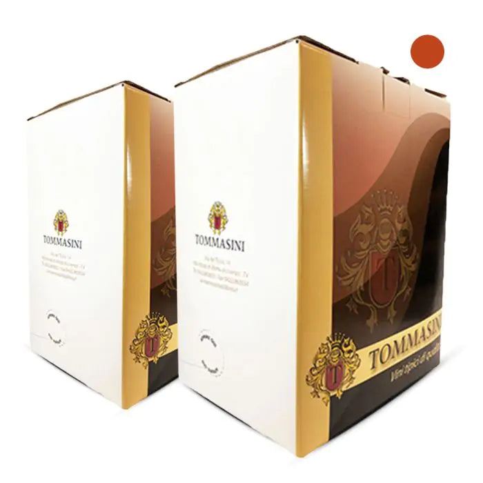 2 Bag in Box di Cabernet Franc da 5 lt